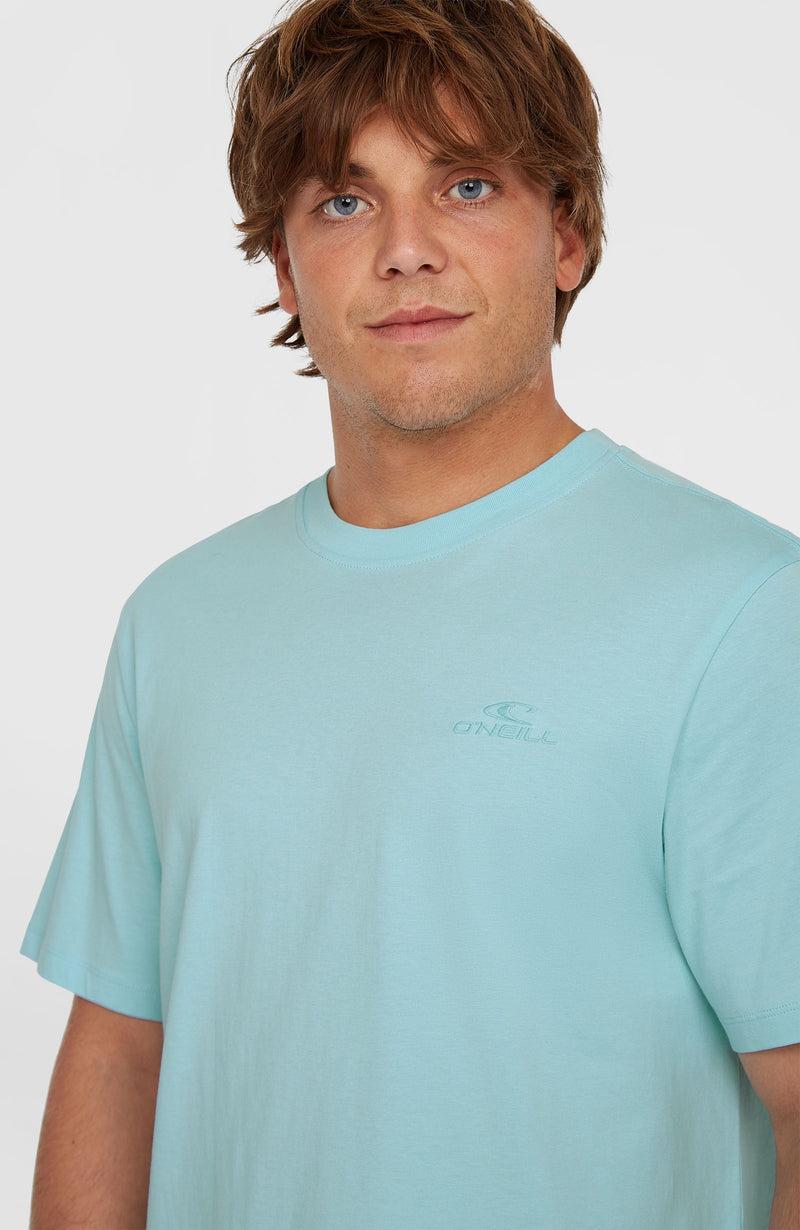 Oneill Men Small Logo T-Shirt | Blue