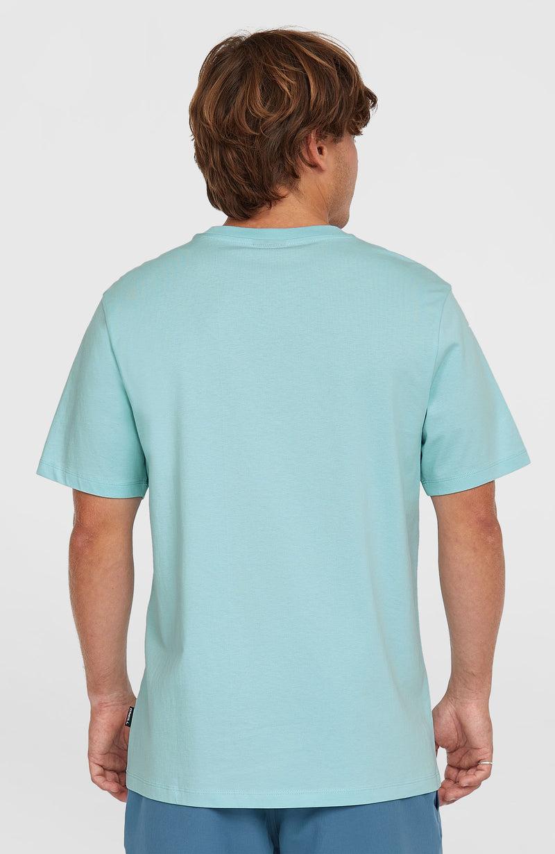 Oneill Men Small Logo T-Shirt | Blue