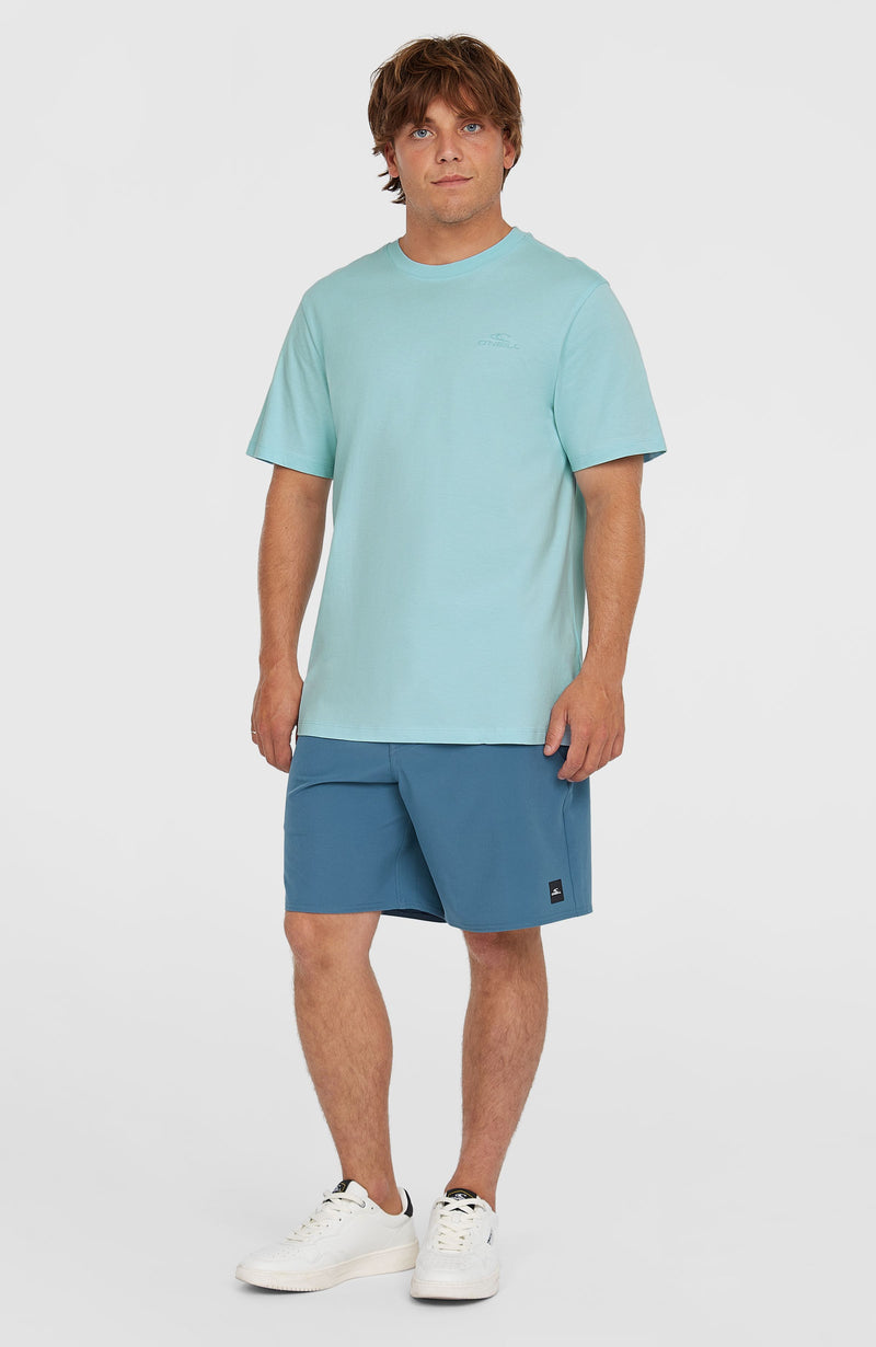 Oneill Men Small Logo T-Shirt | Blue