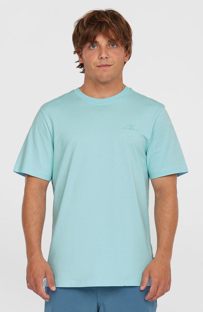 oneill Men Small Logo T-Shirt | Blue