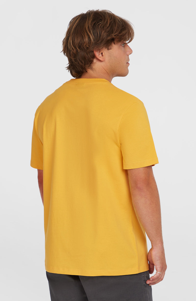 Oneill Men Small Logo T-Shirt | Yellow