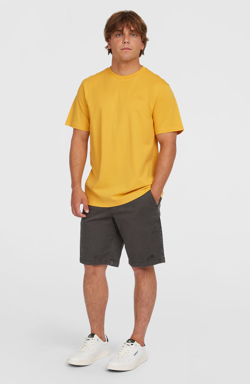 Oneill Men Small Logo T-Shirt | Yellow