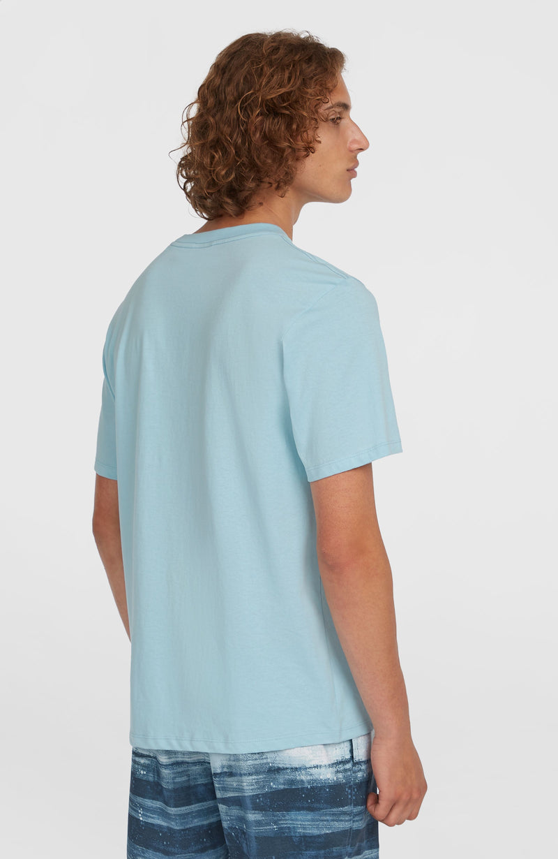 Oneill Men Stripe T-Shirt | Blue