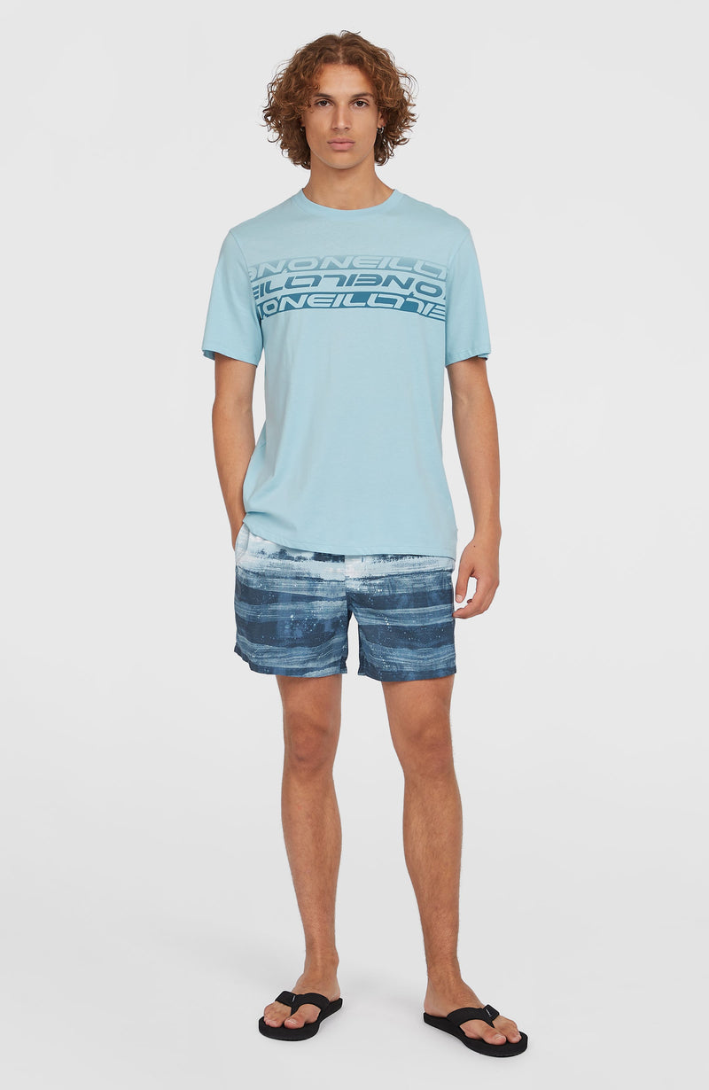 Oneill Men Stripe T-Shirt | Blue