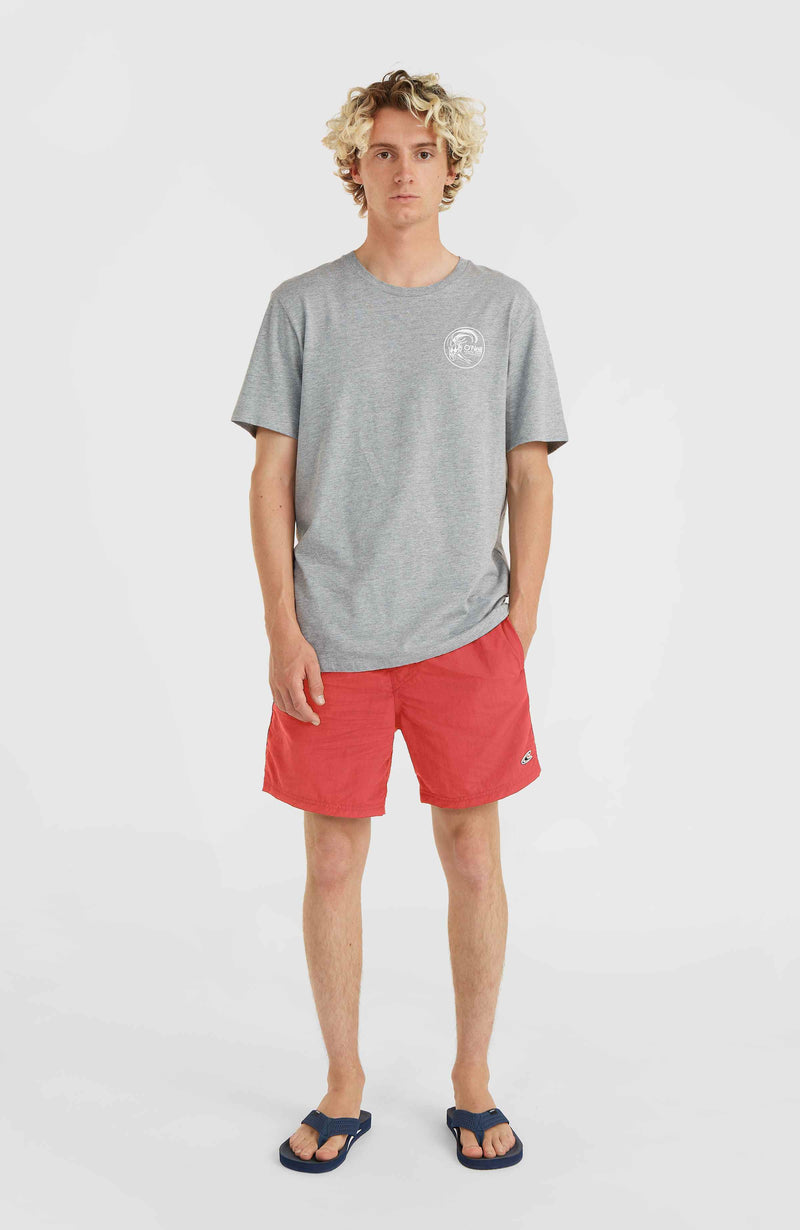 Oneill Men Vert 16'' Swim Shorts | Red
