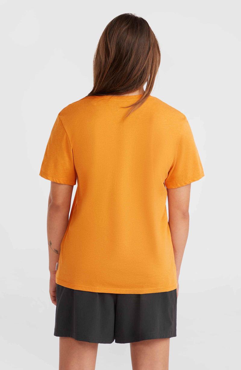 Oneill Women Essentials V-Neck T-Shirt | Brown