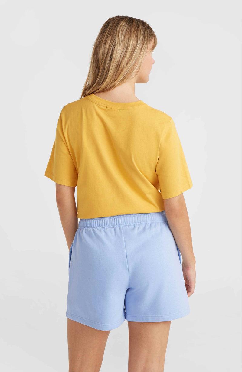 Oneill Women Future Surf Society Shorts | Blue