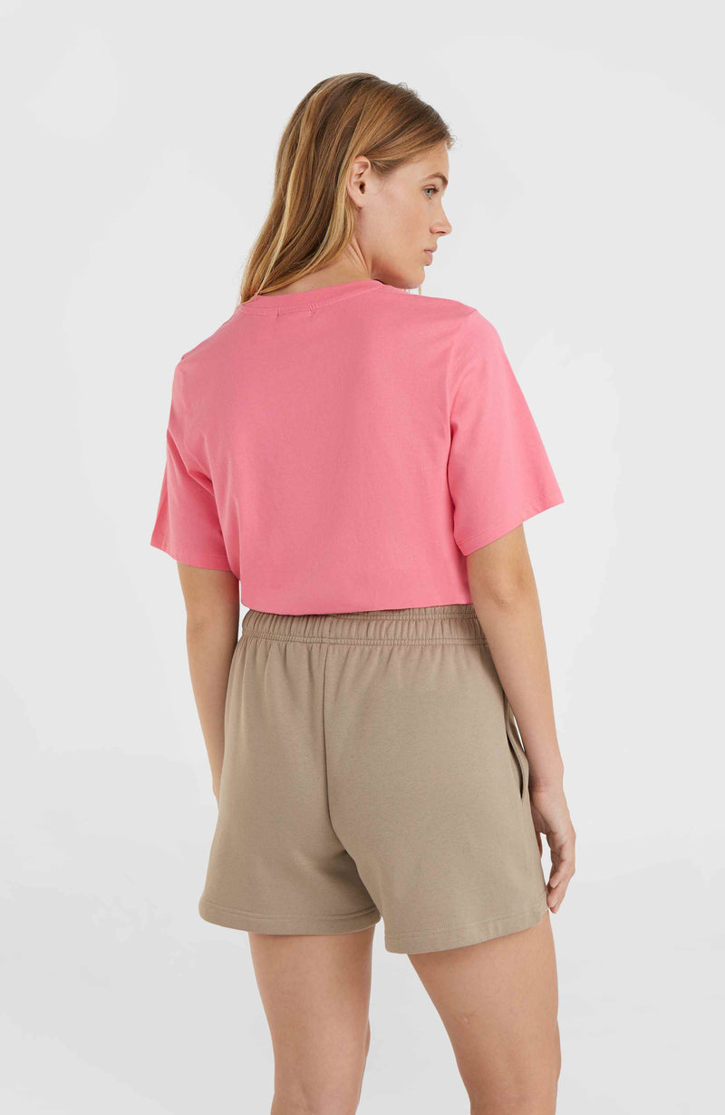 Oneill Women Future Surf Society Shorts | Brown