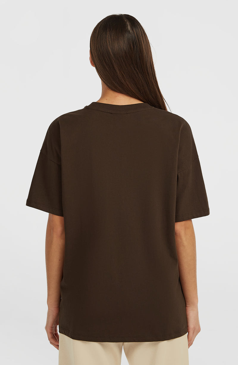 Oneill Women Future Surf Society T-Shirt | Brown