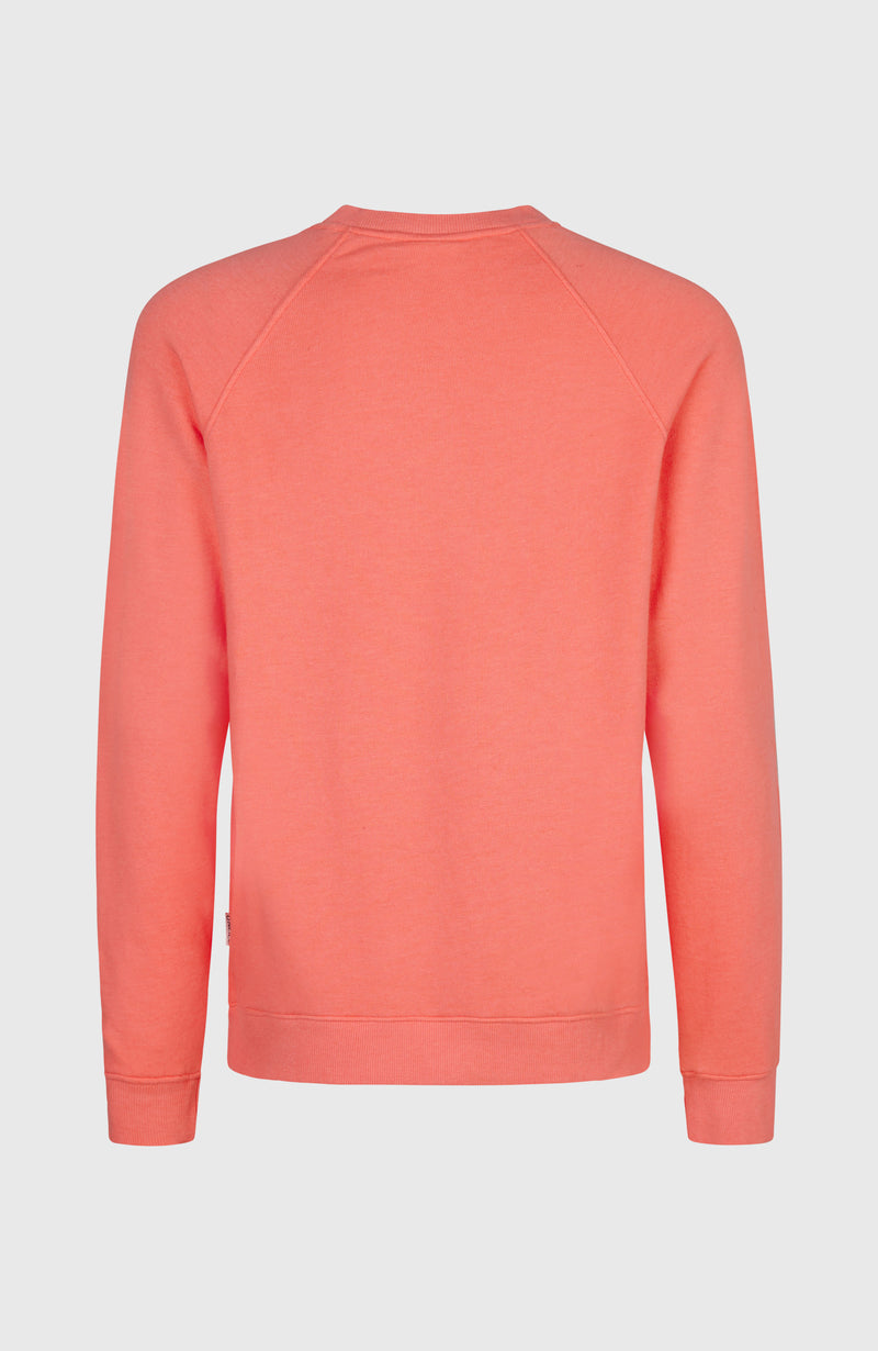 Oneill Women O'Neill Beach Vintage Crew | Pink