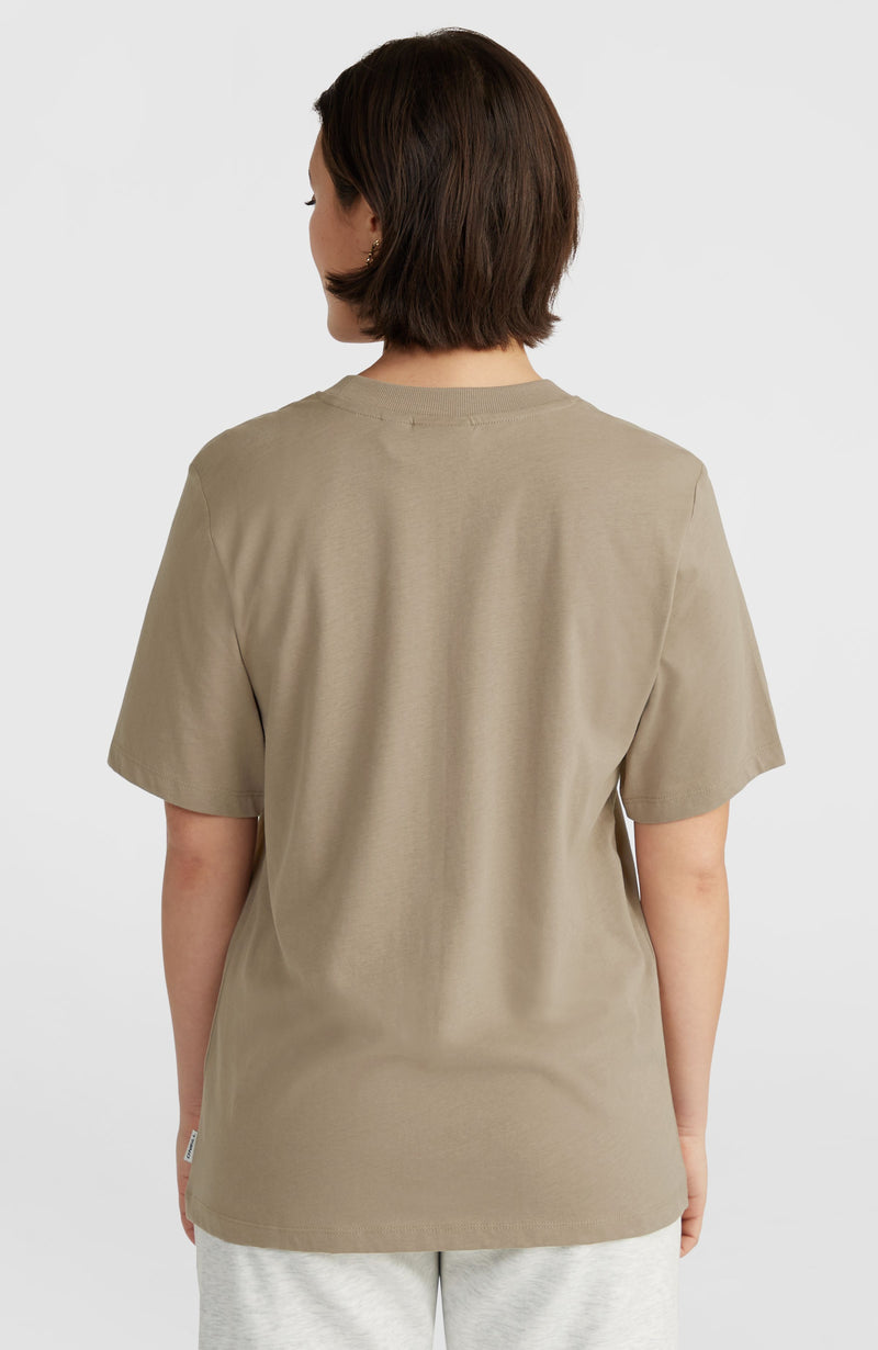 Oneill Women Women Of The Wave T-Shirt | Brown