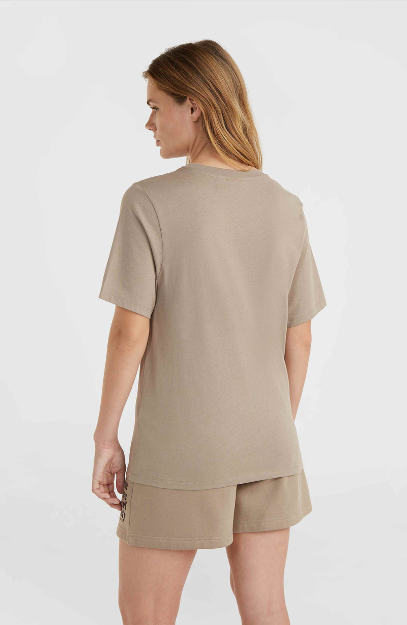 Oneill Women Future Surf Society Regular T-Shirt | Brown