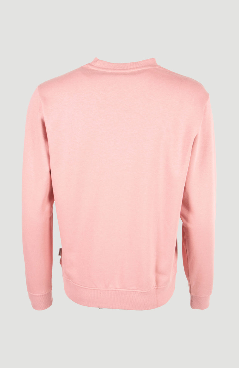 Oneill Women Women Of The Wave Crew Sweatshirt | Pink