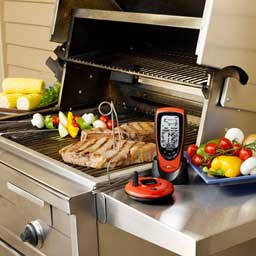 Oregon Scientific Oregon Scientific AW131 Grill Right Wireless Talking BBQ/Oven Thermometer