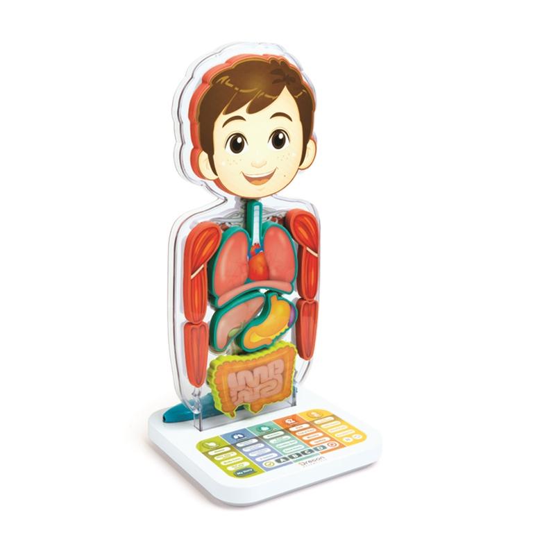 oregon scientific Oregon Scientific SA218 Smart Anatomy - Interactive Human Body