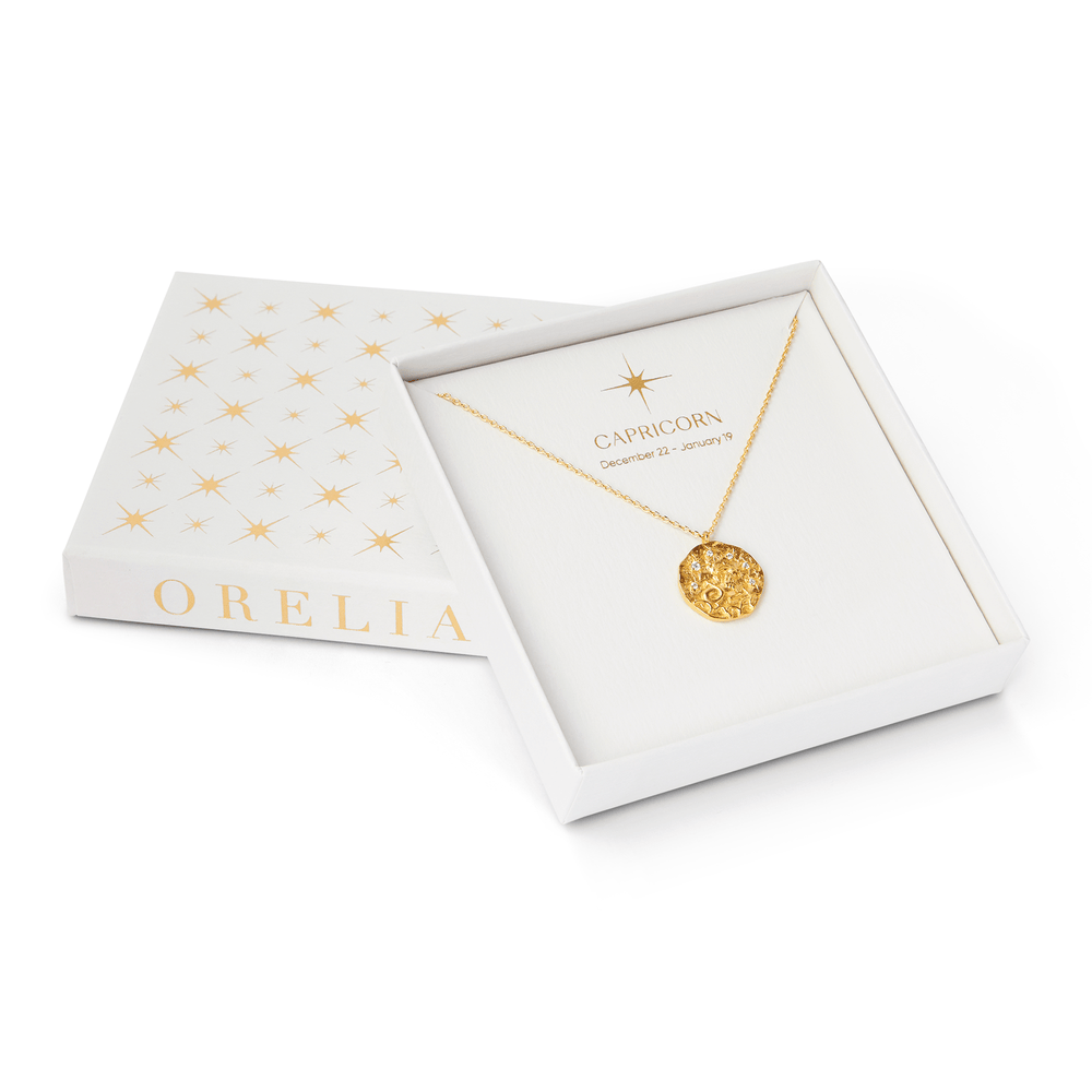 Orelia Capricorn Zodiac Necklace