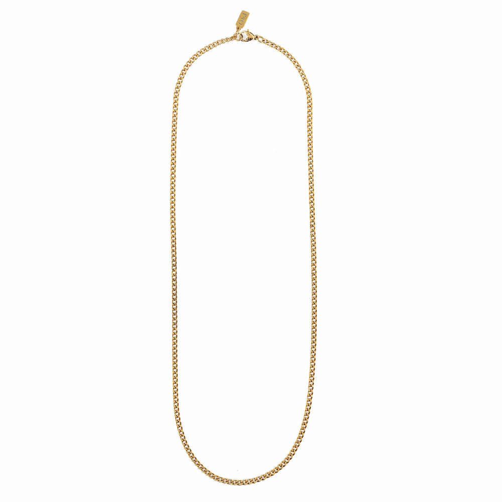 Orelia Fine Curb Chain Necklace - Gold
