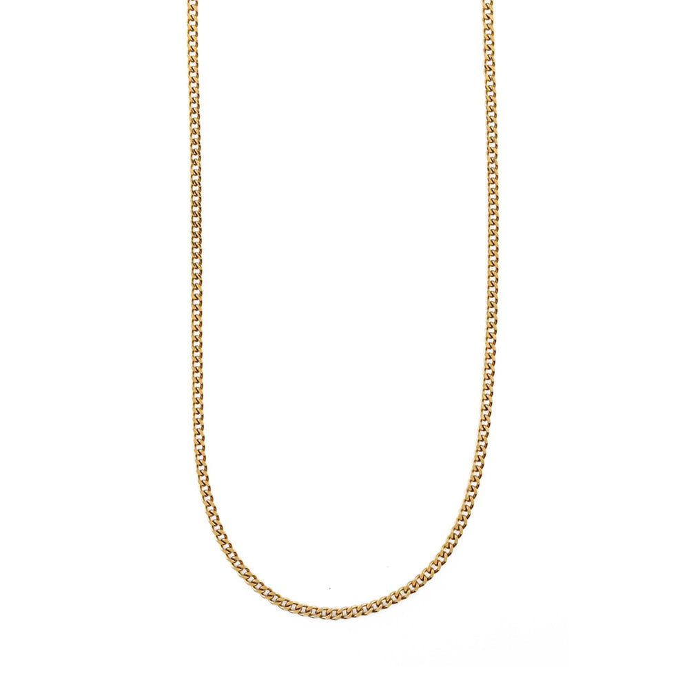 orelia Fine Curb Chain Necklace - Gold