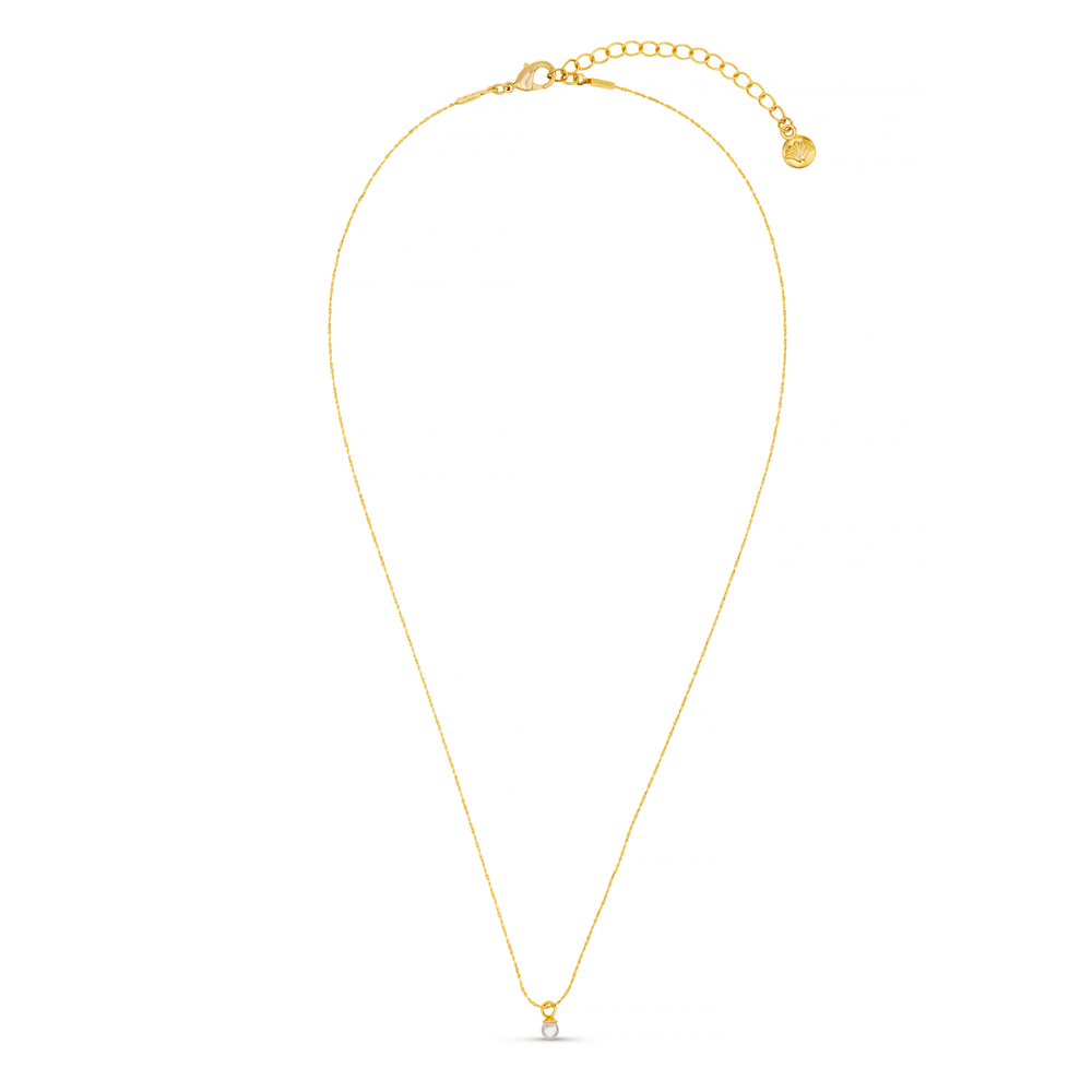 Orelia Fine Micro Pearl Collar Necklace