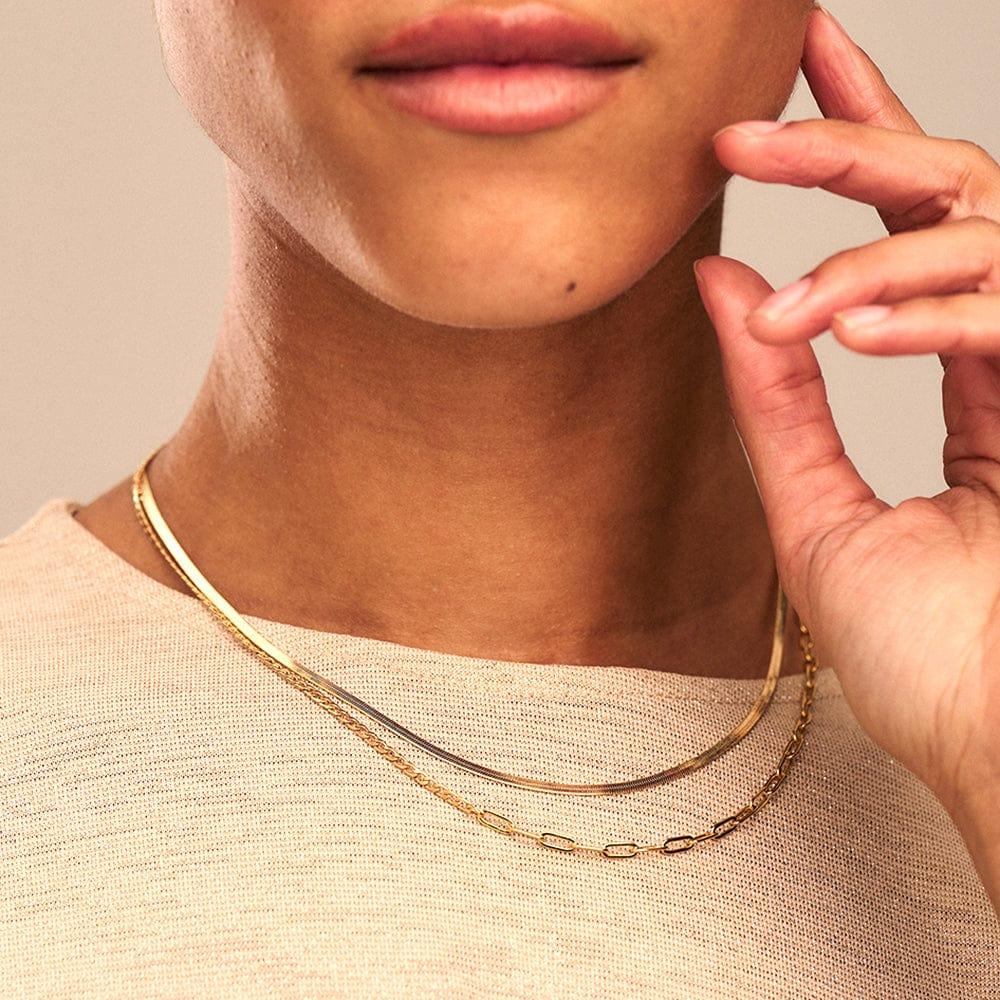 Orelia Flat Snake Chain Necklace - Gold