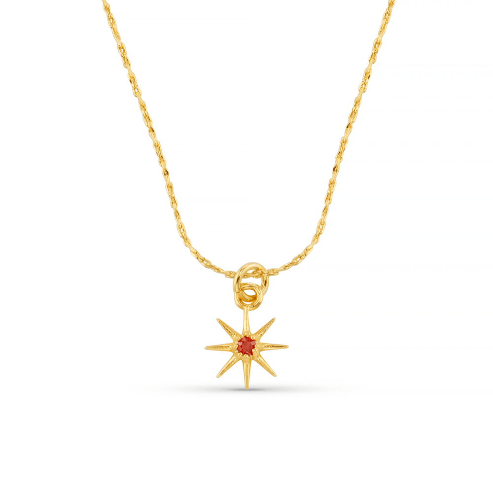 orelia January Birthstone Garnet Necklace