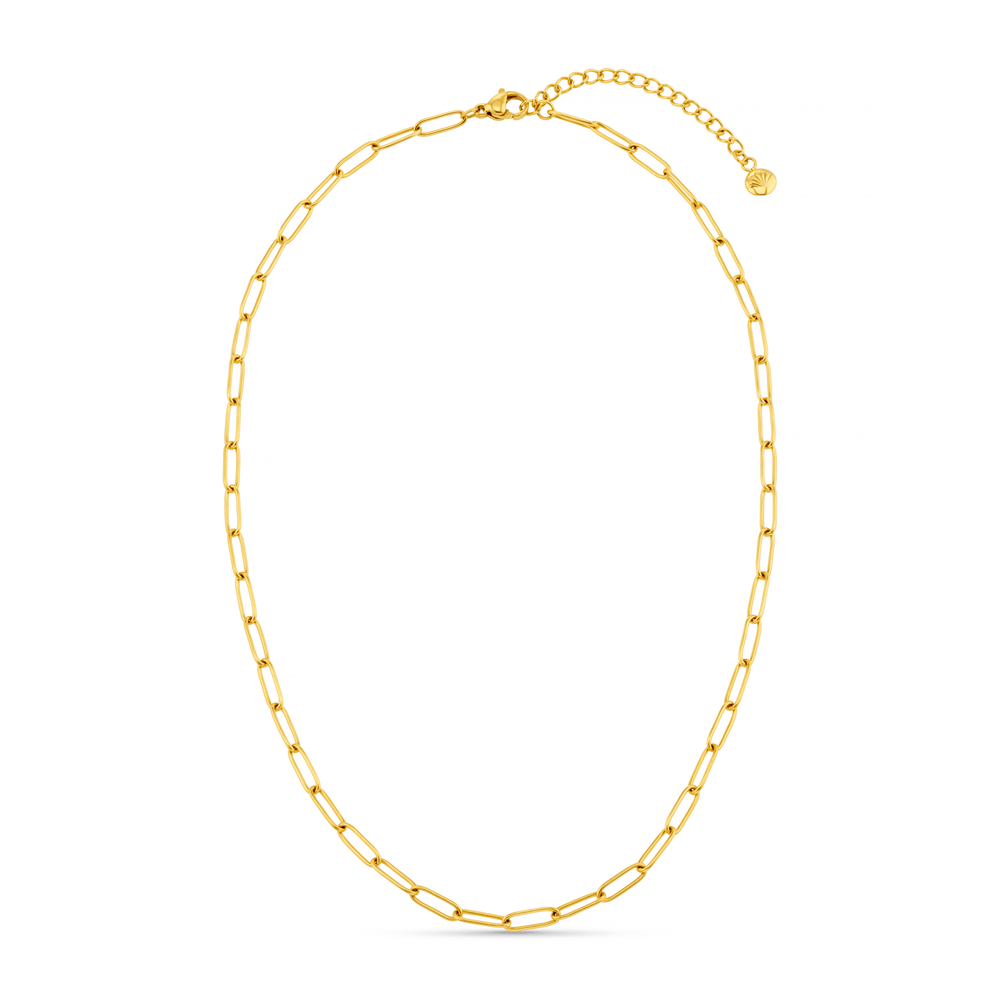 Orelia LUXE Fine Oval Link Chain Necklace