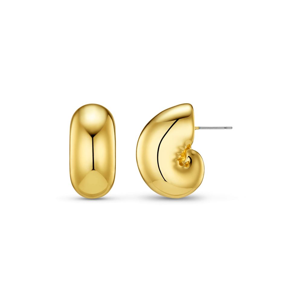 orelia Polished Ammonite Domed Studs