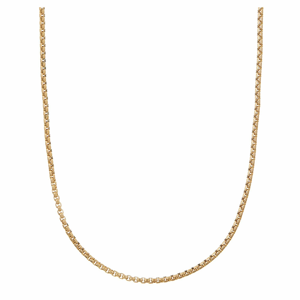 orelia Round Box Chain Necklace - Gold