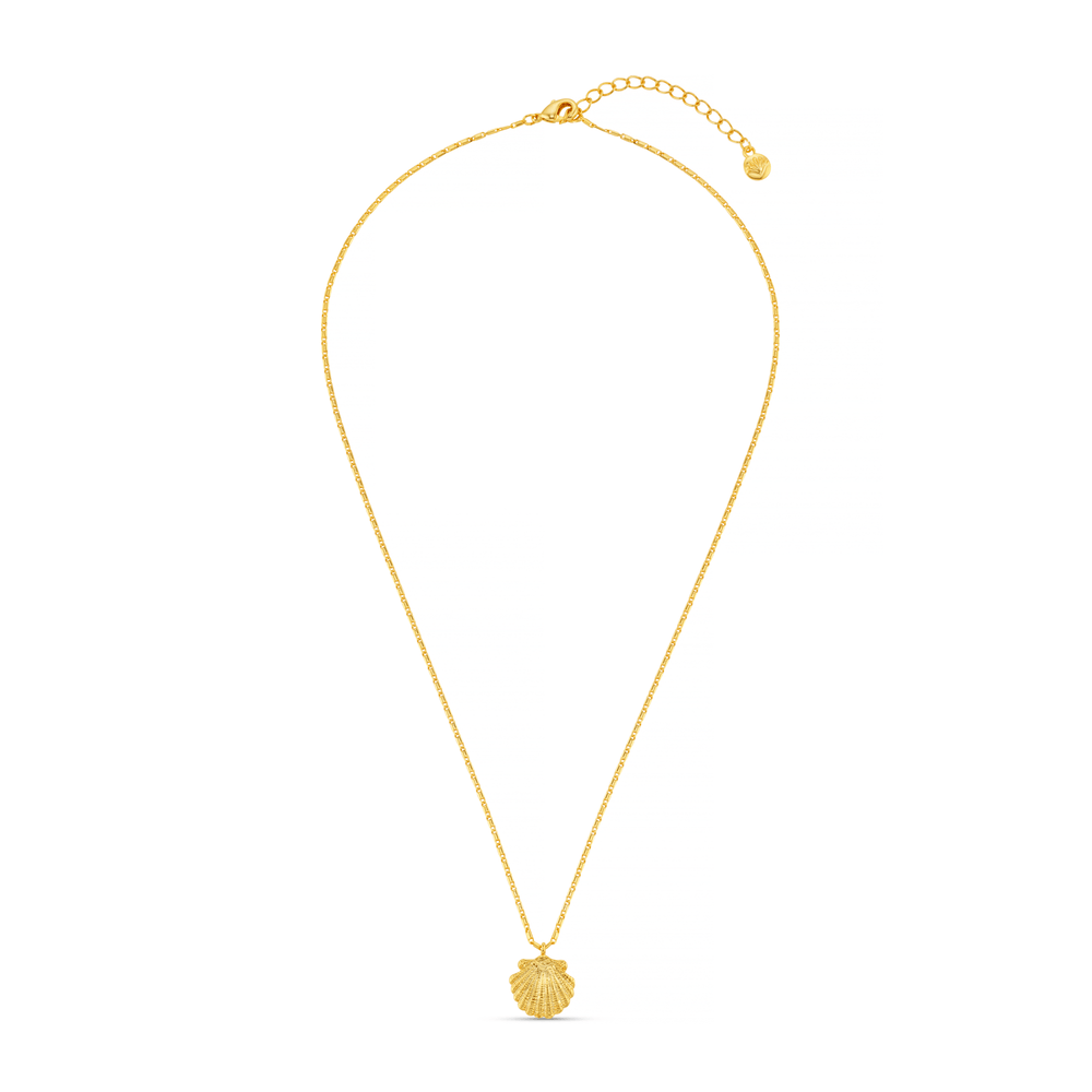 Orelia Shell Charm Necklace
