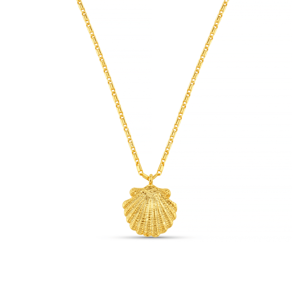 orelia Shell Charm Necklace