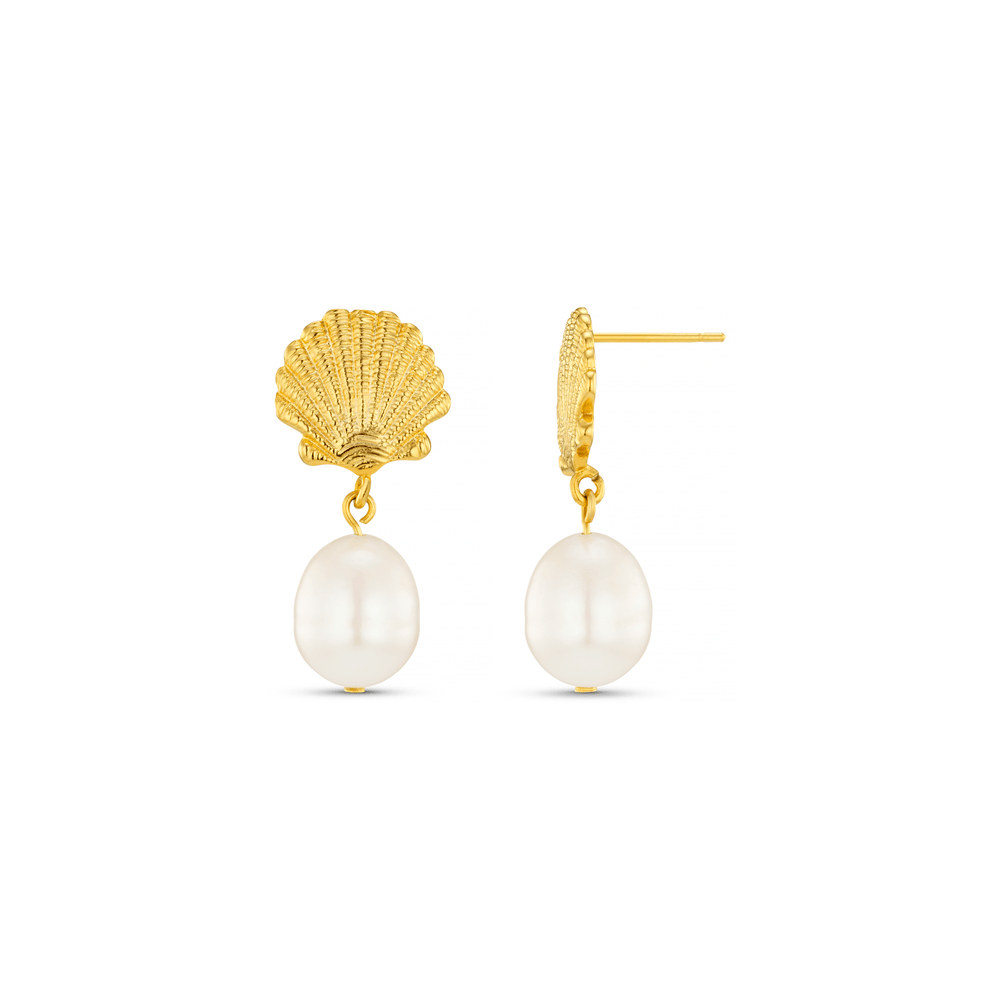 orelia Shell & Pearl Drop Earrings