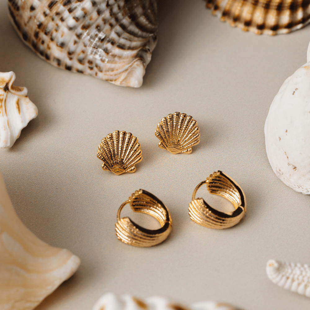 Orelia Shell Stud Earrings