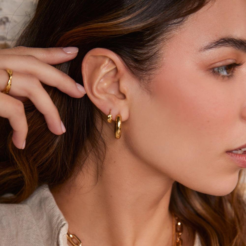 Orelia Polished Chubby Mid-Sized Hoop Earrings - Gold