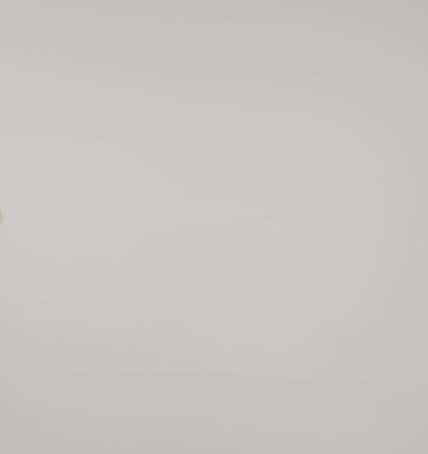 Organic Basics Everyday Scoop Neck Long Sleeve Tee Elderflower Green