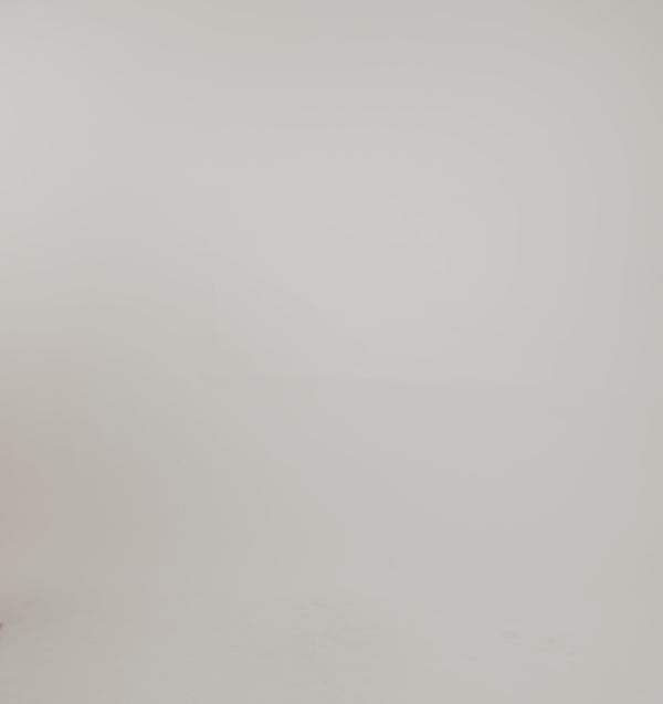 Organic Basics Everyday Scoop Neck Long Sleeve Tee Hazelnut