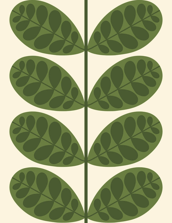 Orla Kiely Botanica Fern Wallpaper - 52cm X 10m ROW