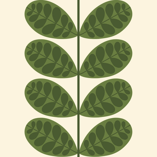 orla kiely Botanica Fern Wallpaper - Sample ROW