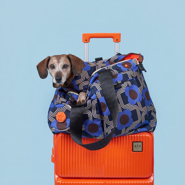 Orla Kiely Dog Coat - Electric Flora Cobalt