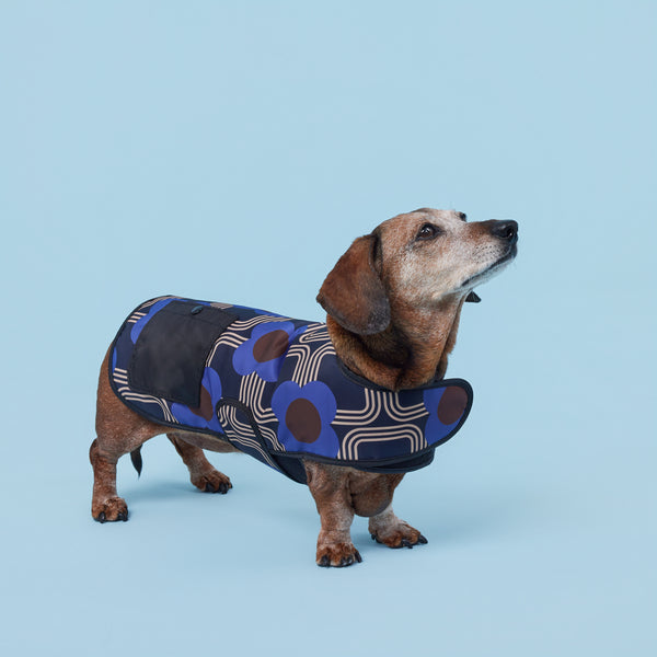 orla kiely Dog Coat - Electric Flora Cobalt