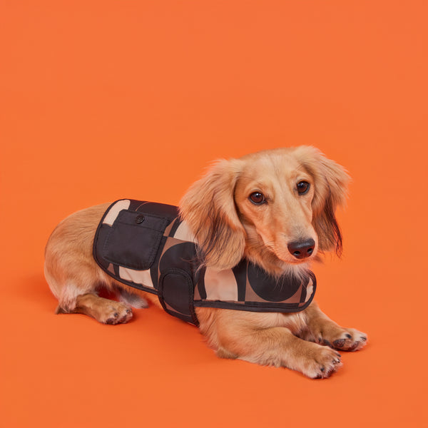 Orla Kiely Dog Coat - Spot Square Mocha