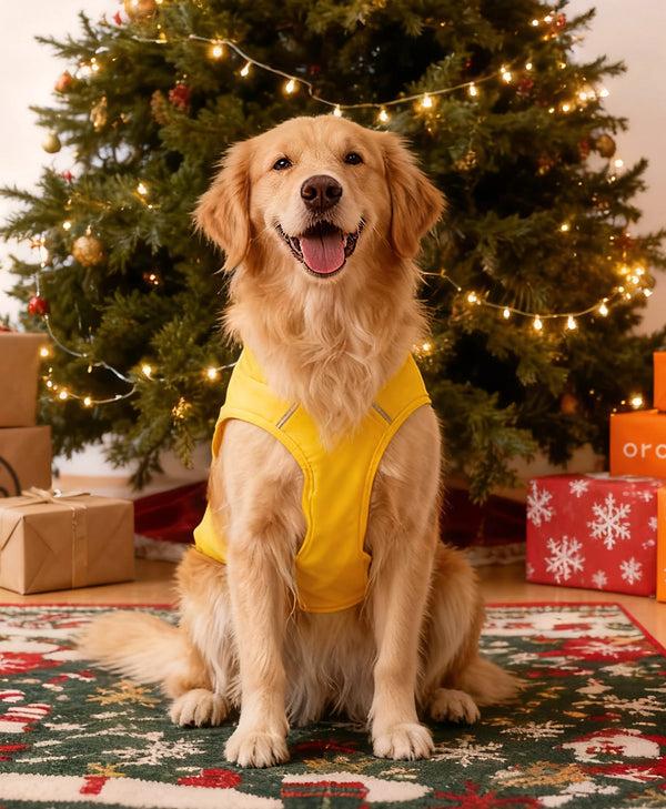 Ororo Koldpwoof Heated Dog Vest