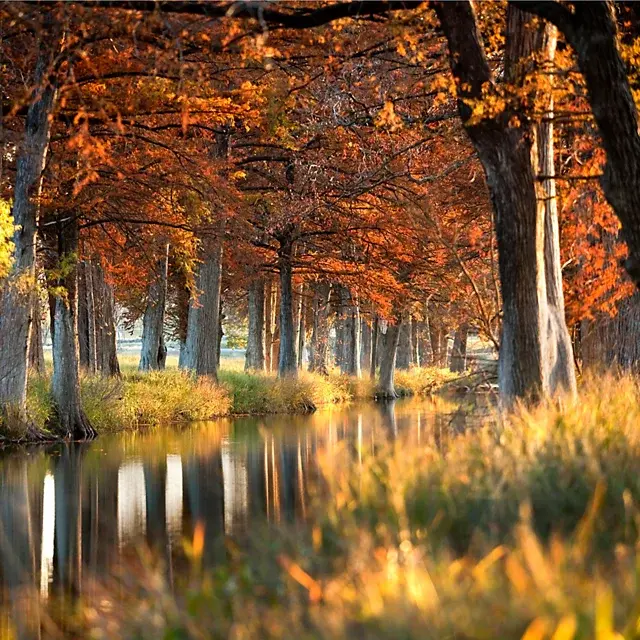 orvis Boerne Texas Hill Country Fly Fishing School Hosted By Joshua Creek Ranch