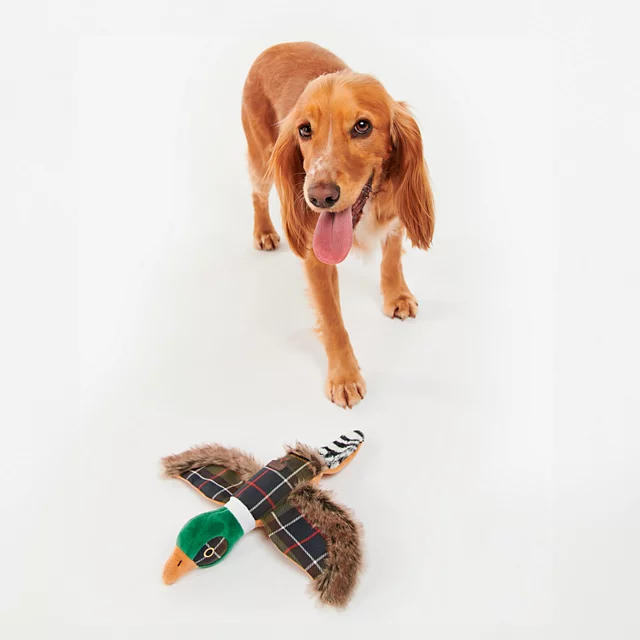 orvis Barbour® Pheasant Dog Toy