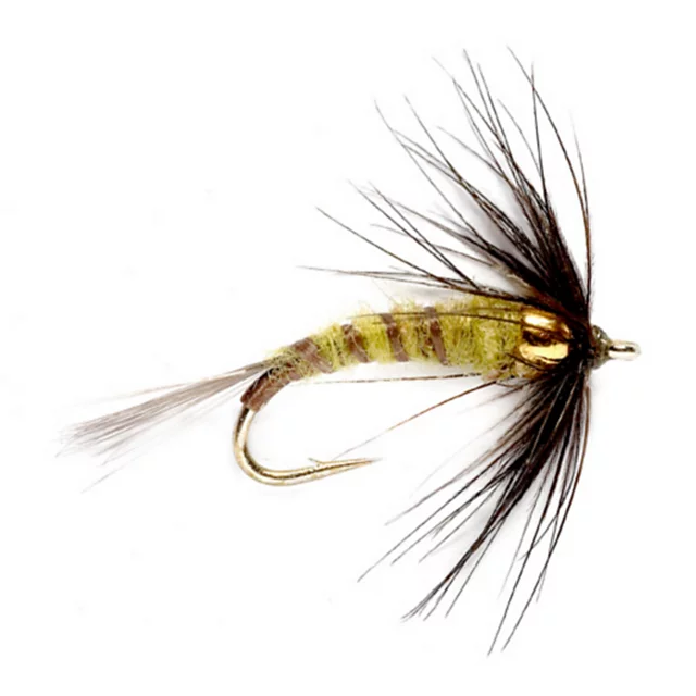 orvis Bead Head Flymph - BWO