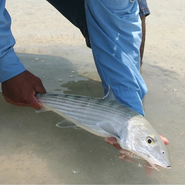 Orvis Belize Bonefish Bonanza