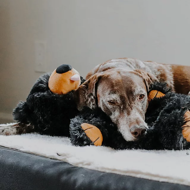 Orvis Black Bear Rope Dog Toy