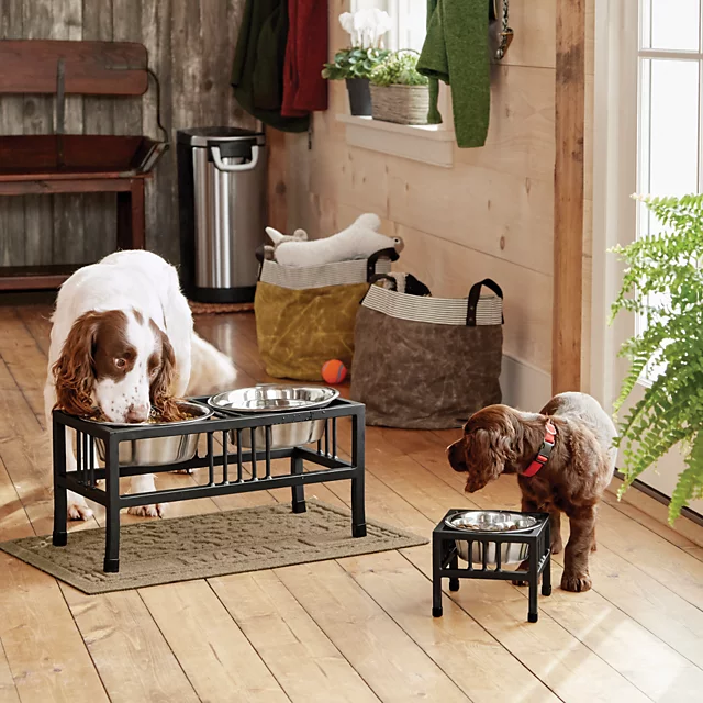 orvis Black Steel Raised Double Feeder