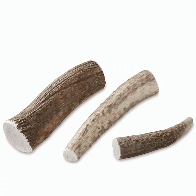 orvis Elk Antler Chews
