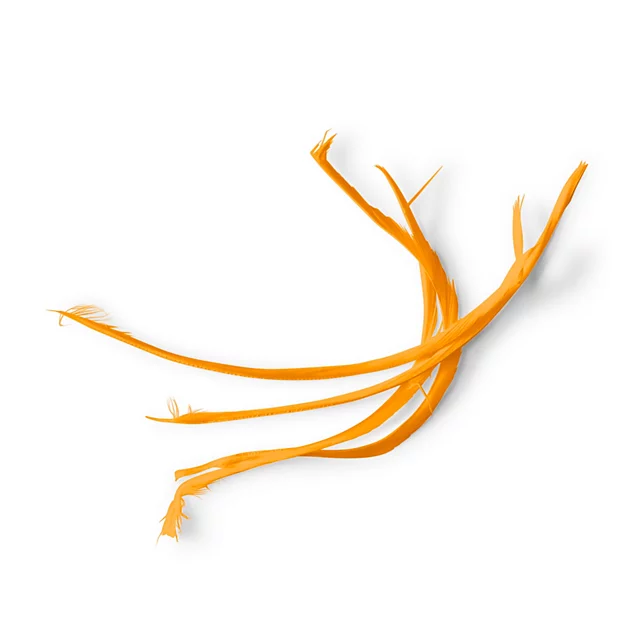 orvis Goose Biots AMBER