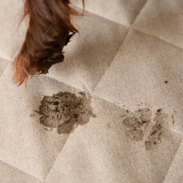 Orvis Orvis Grip-Tight® Furniture Protectors BROWN